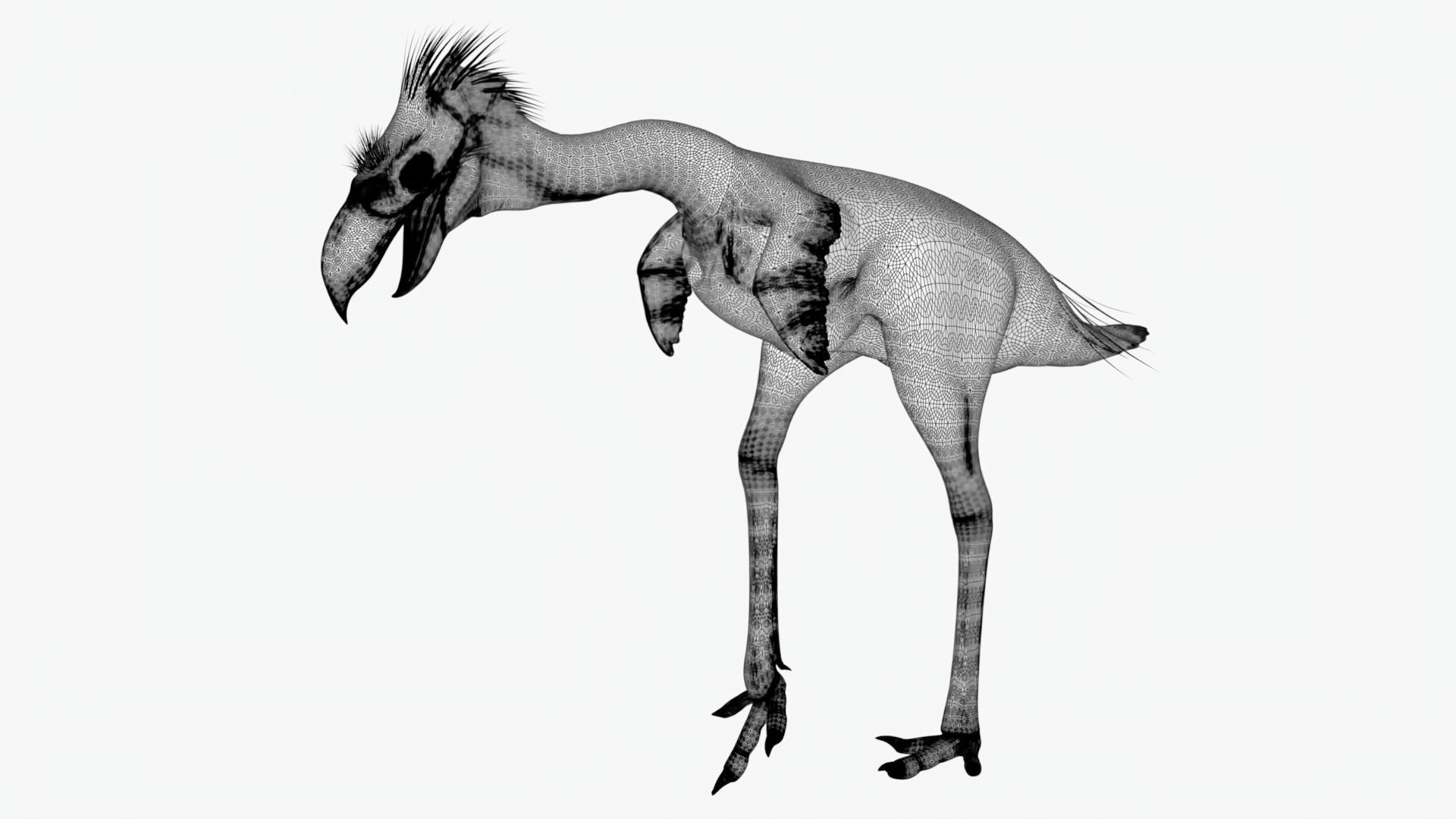 Realistic Phorusrhacos vulture with long beak Low-poly 3D model_7