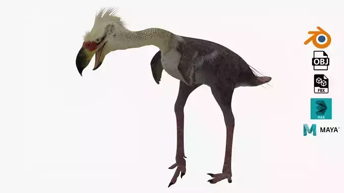 Realistic Phorusrhacos vulture with long beak