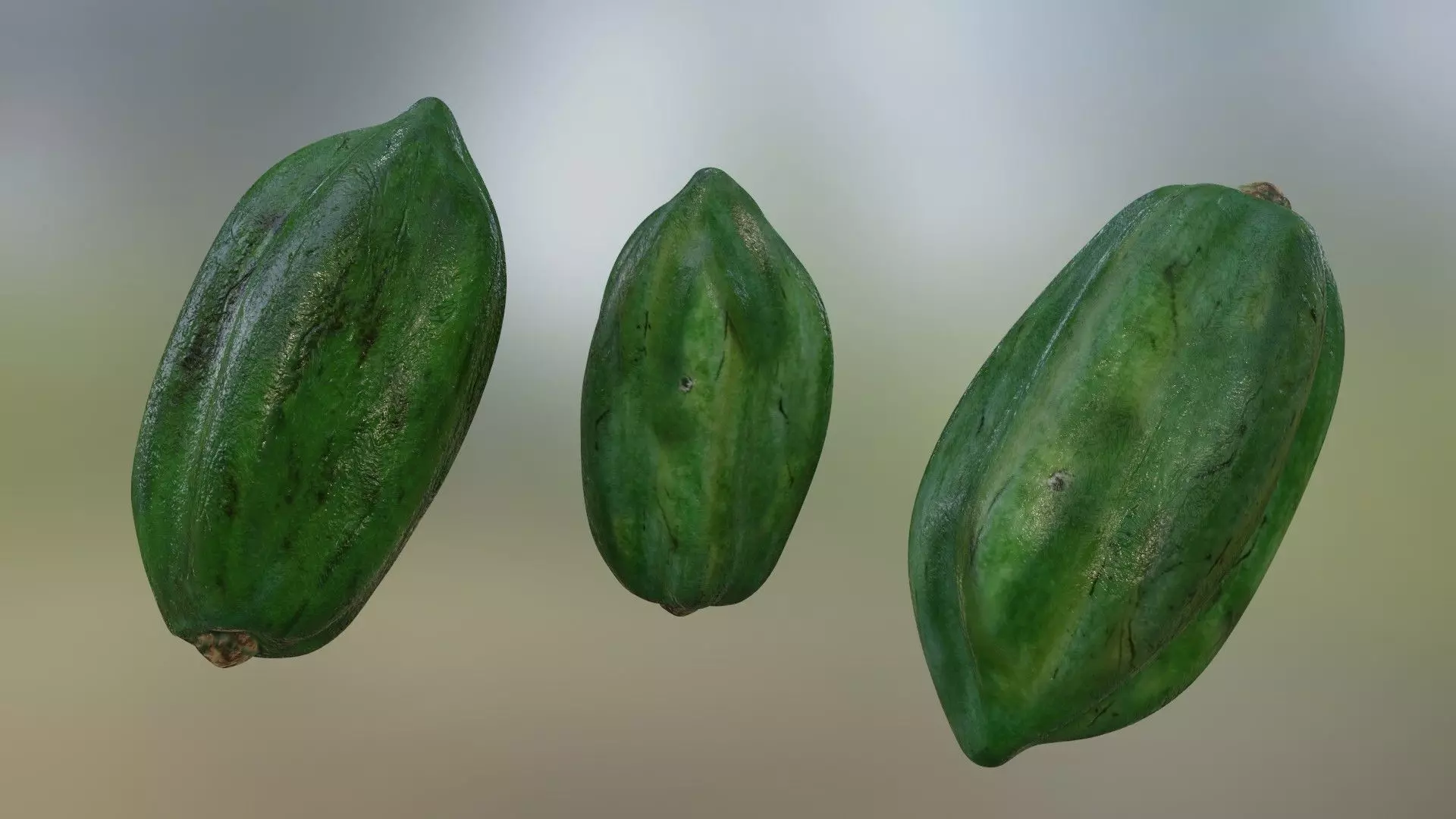cocoa fruit Low-poly 3D model