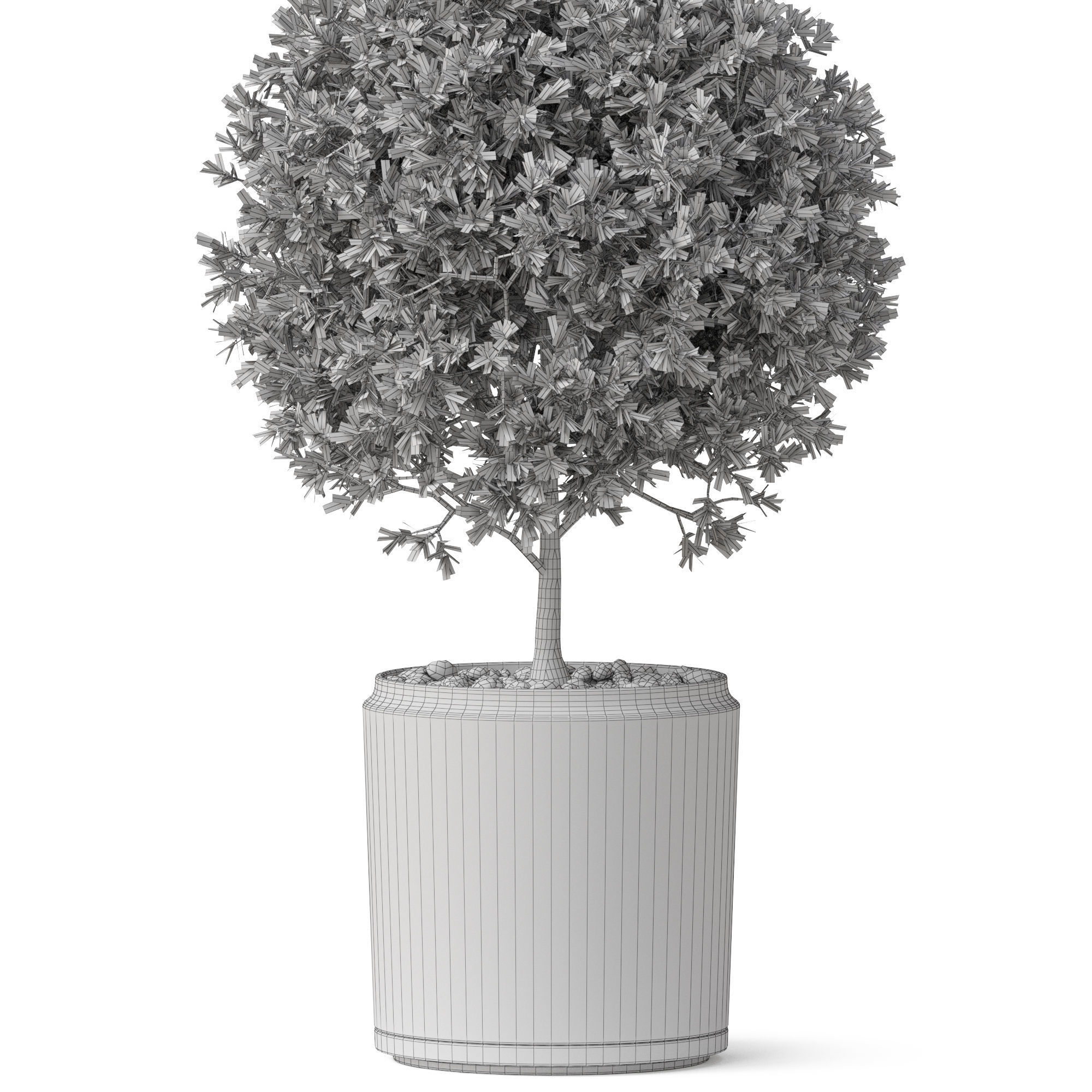 Plants collection 849 3D model_5