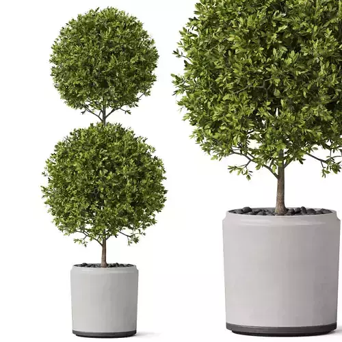 Plants collection 849 3D model