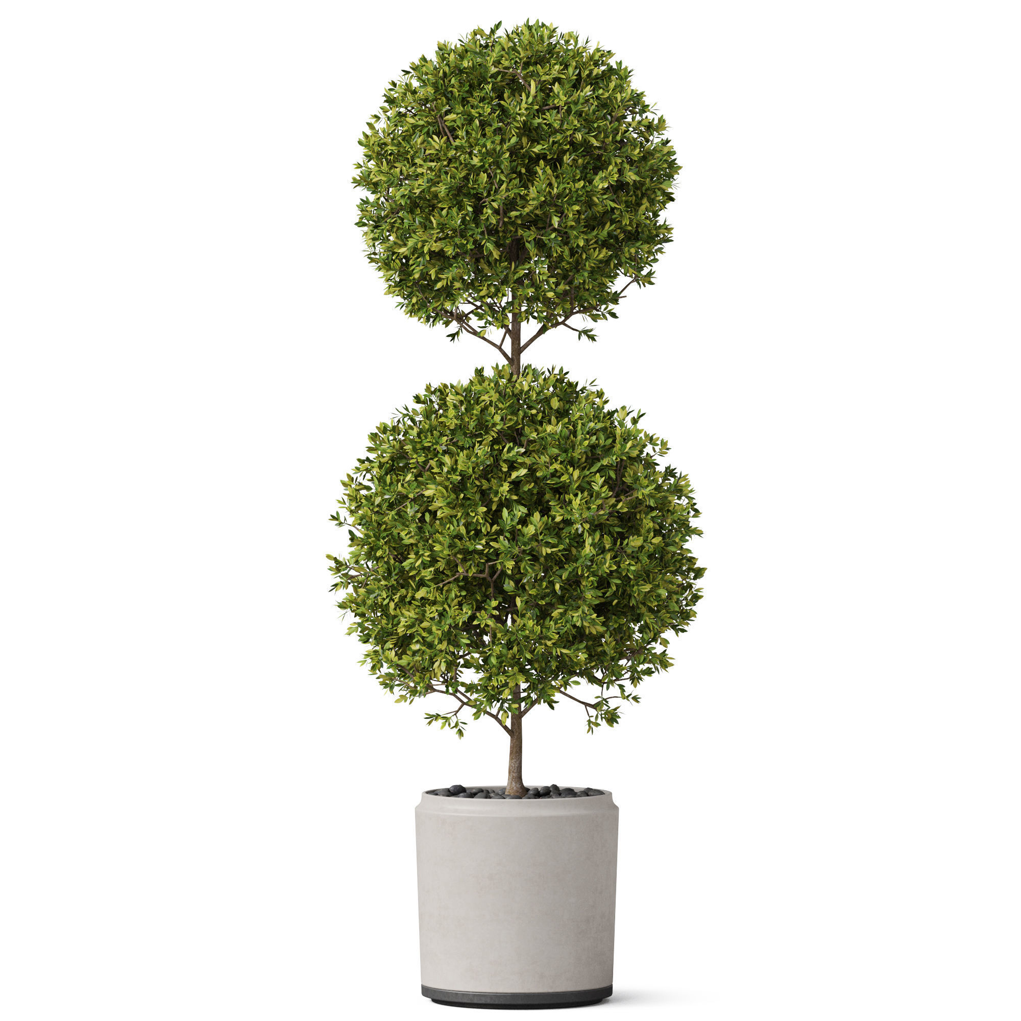 Plants collection 849 3D model_1