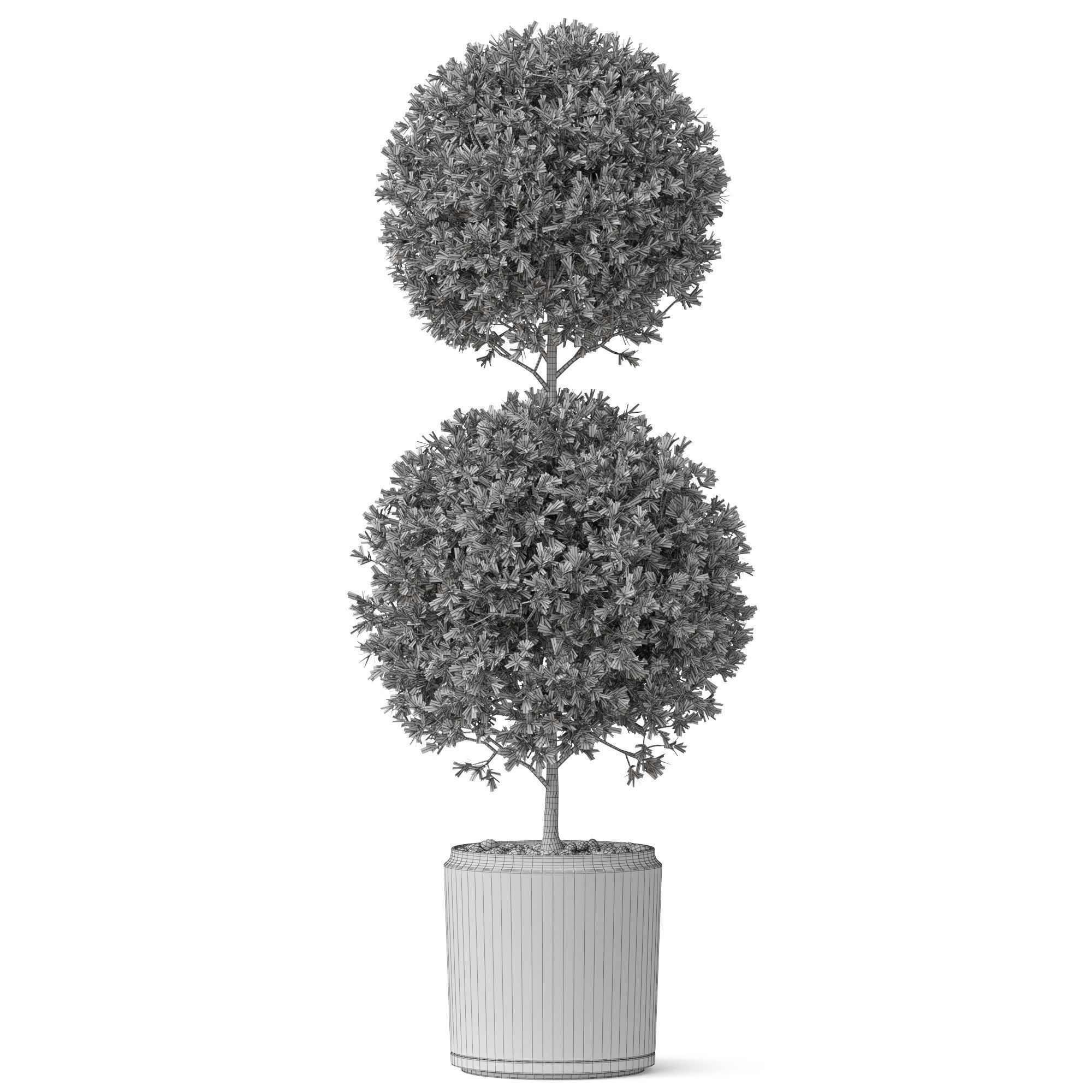 Plants collection 849 3D model_4