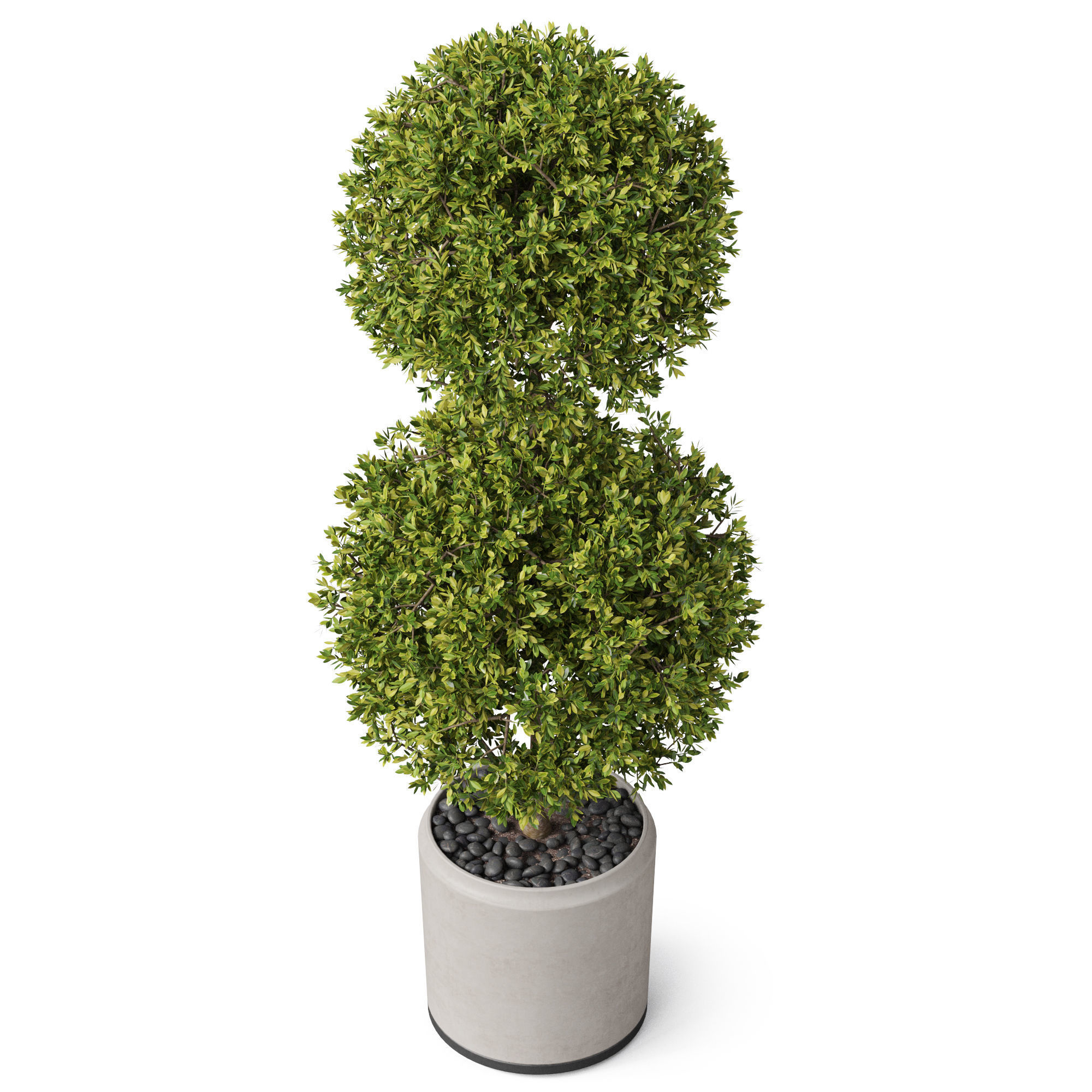 Plants collection 849 3D model_3