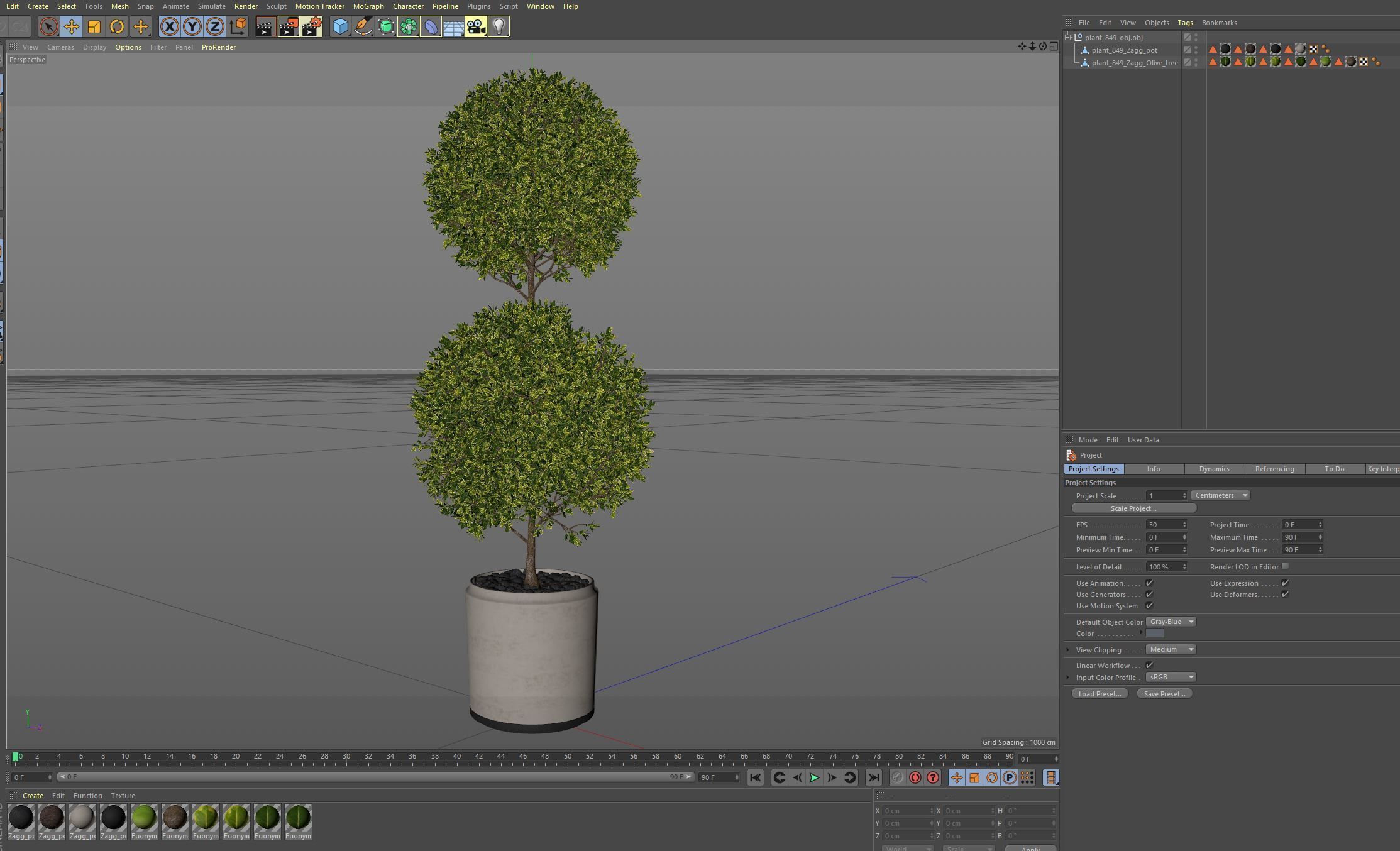 Plants collection 849 3D model_7