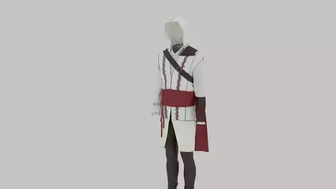 Assassin Costume