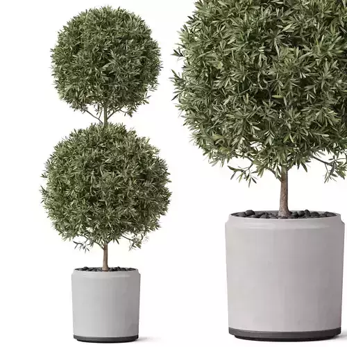 Plants collection 850 3D model