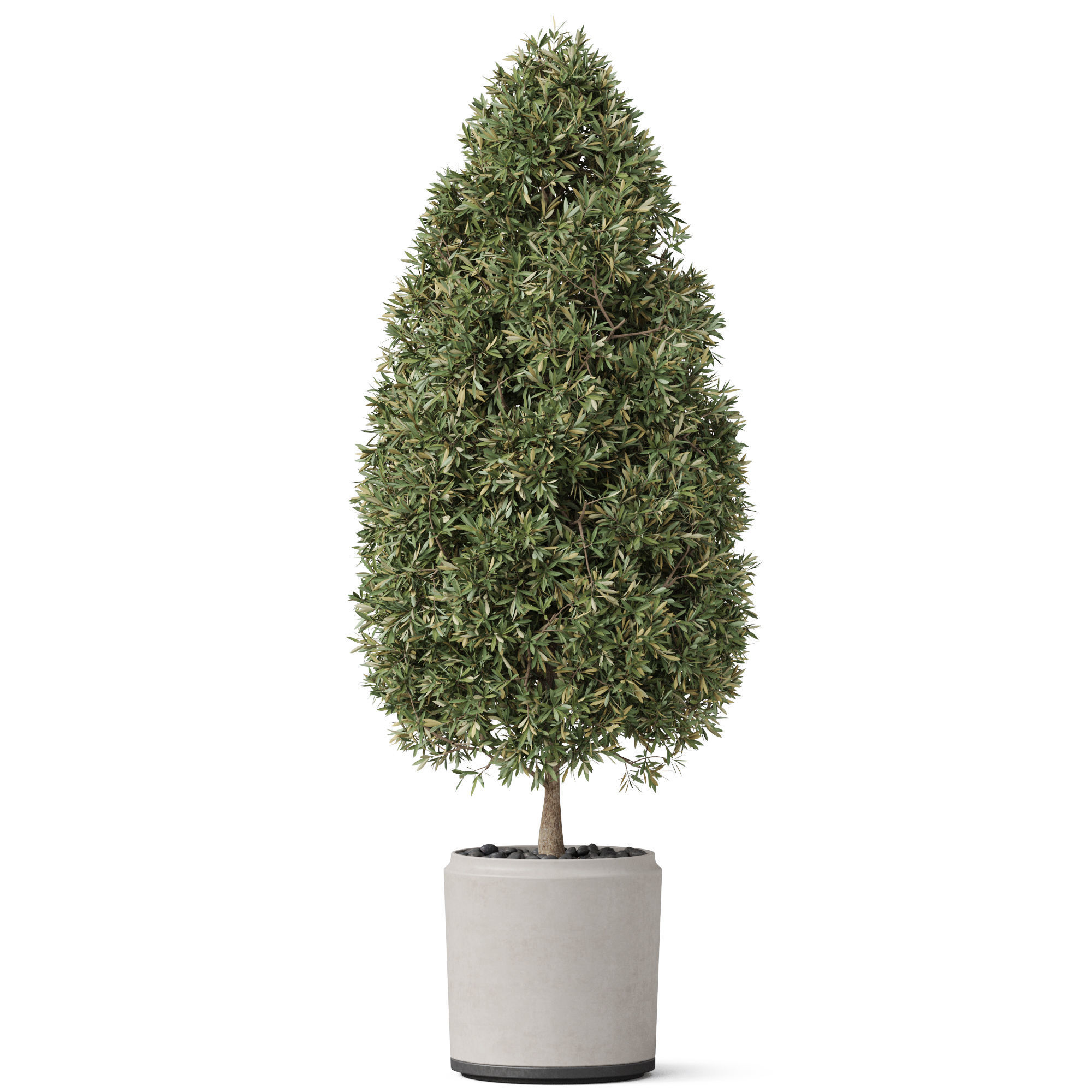 Plants collection 851 3D model_1