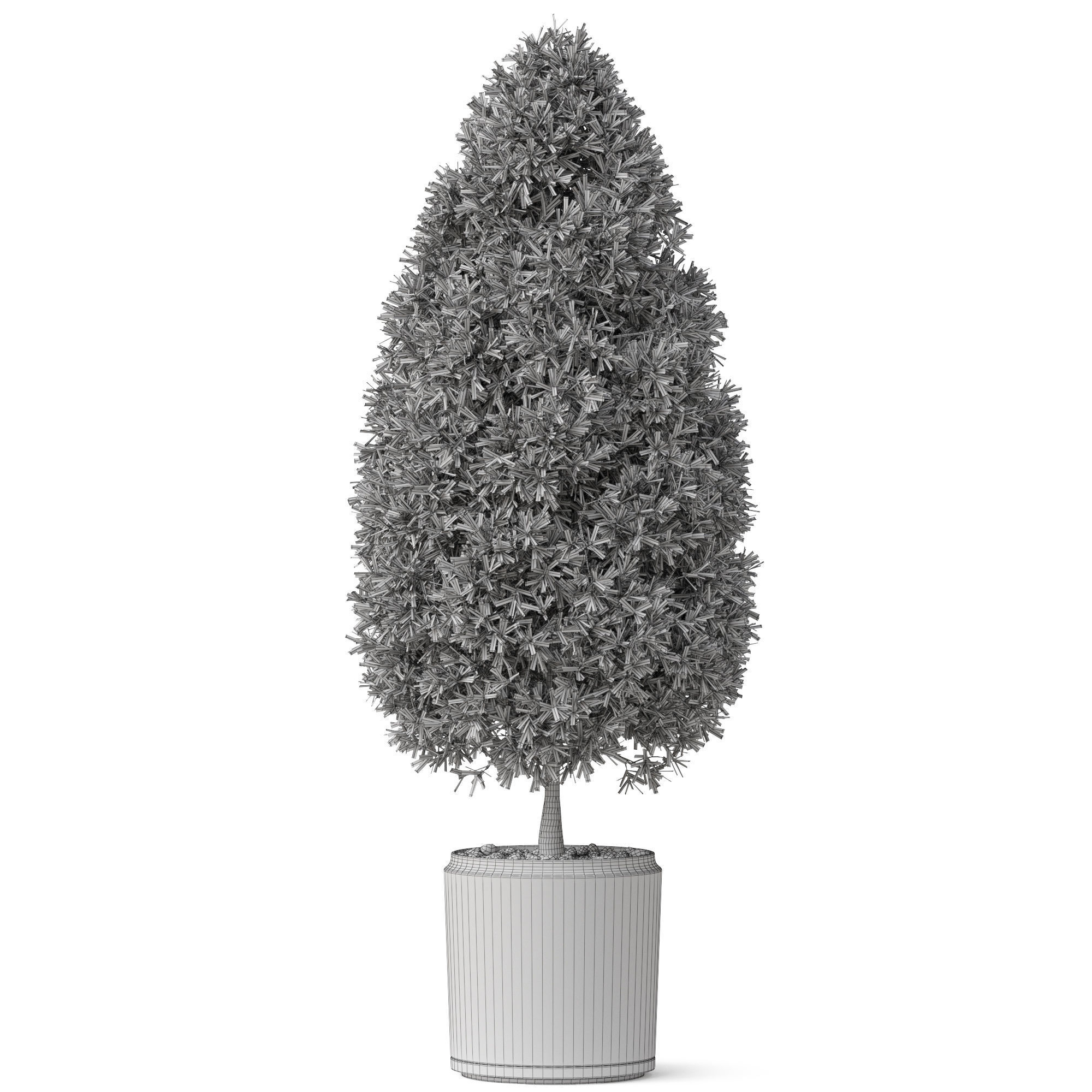 Plants collection 851 3D model_4