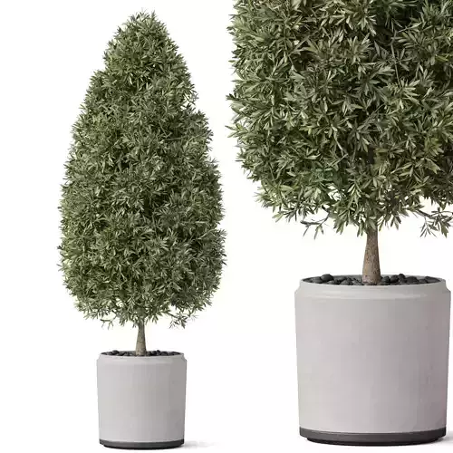 Plants collection 851 3D model