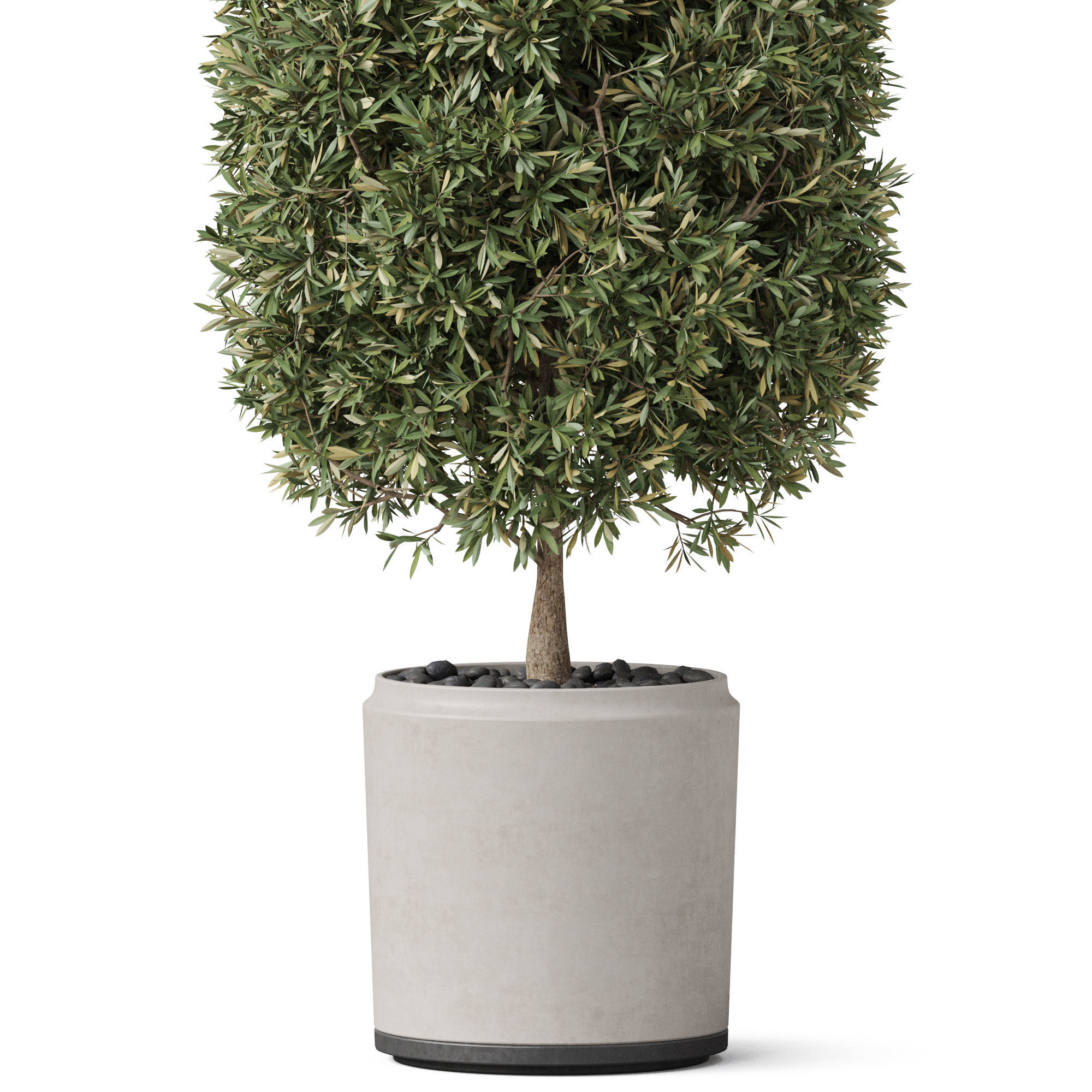 Plants collection 851 3D model_2