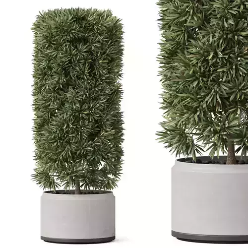 Plants collection 852 3D model