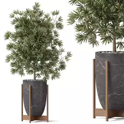 Plants collection 853 3D model