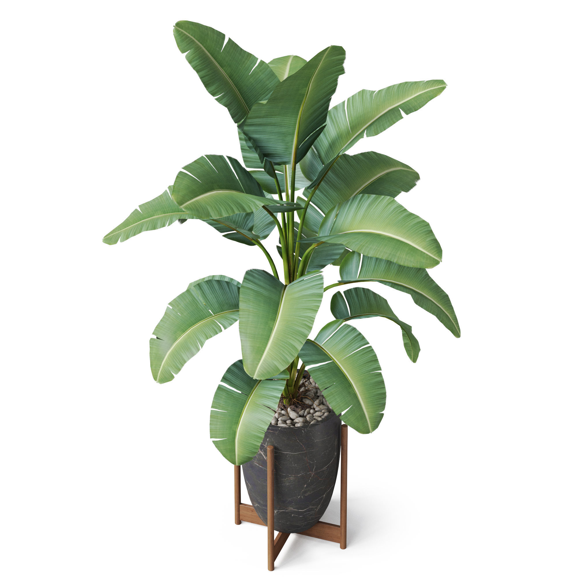 Plants collection 854 3D model_3