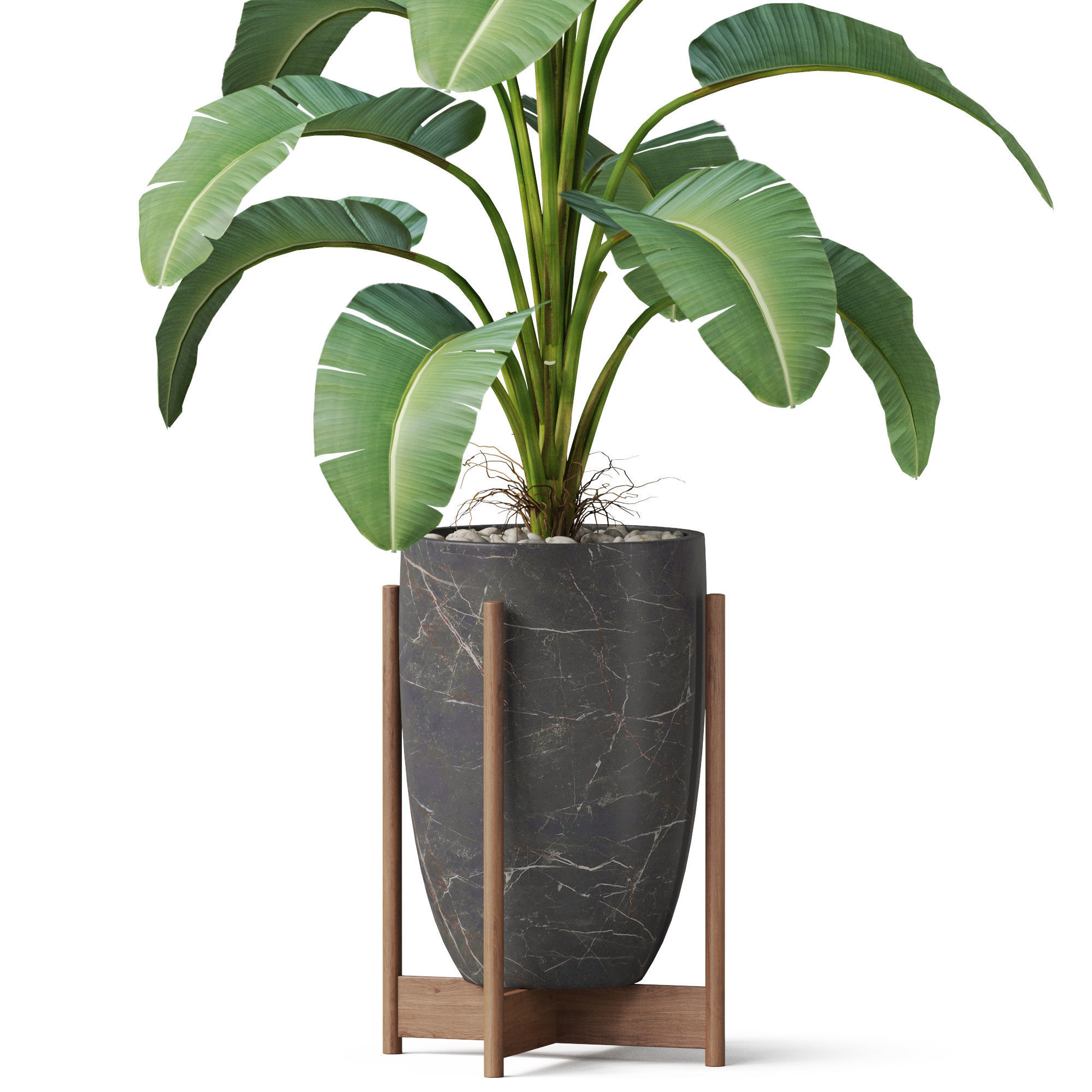 Plants collection 854 3D model_2