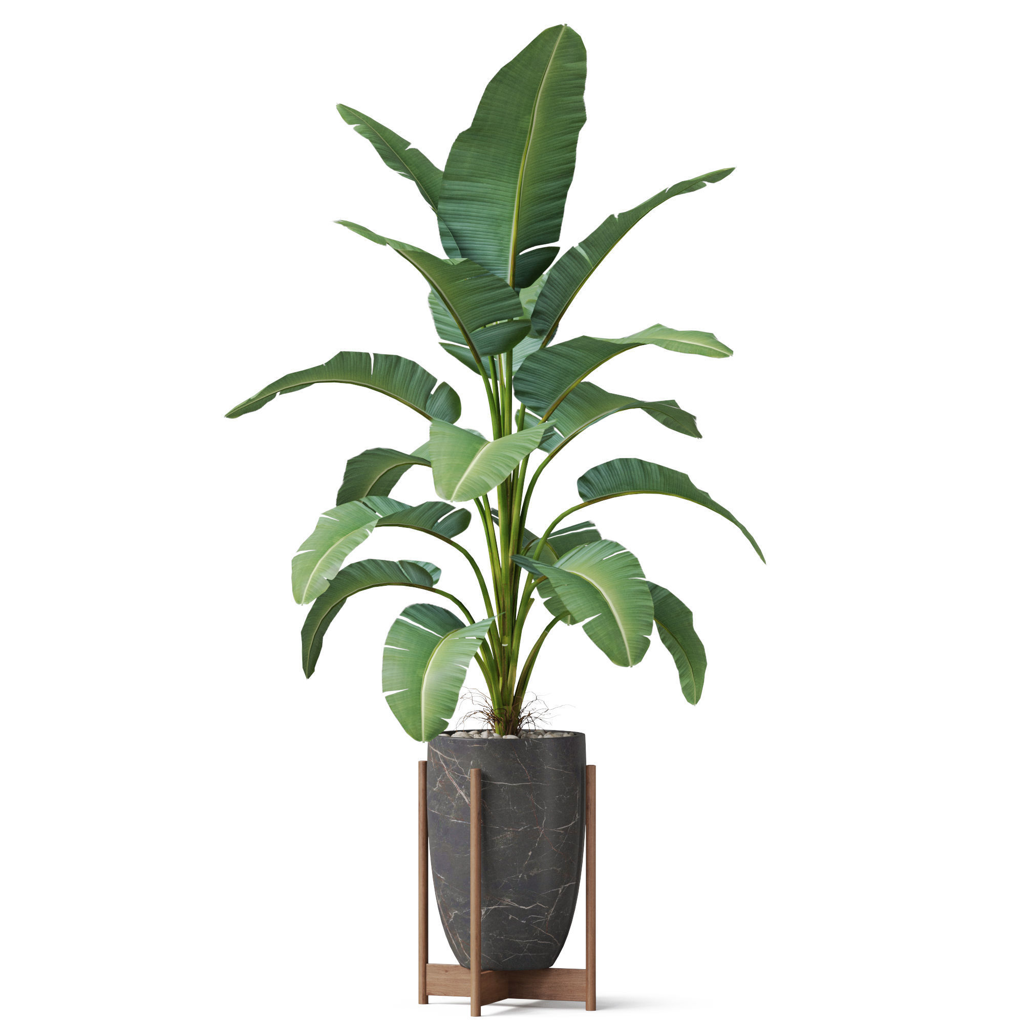 Plants collection 854 3D model_1