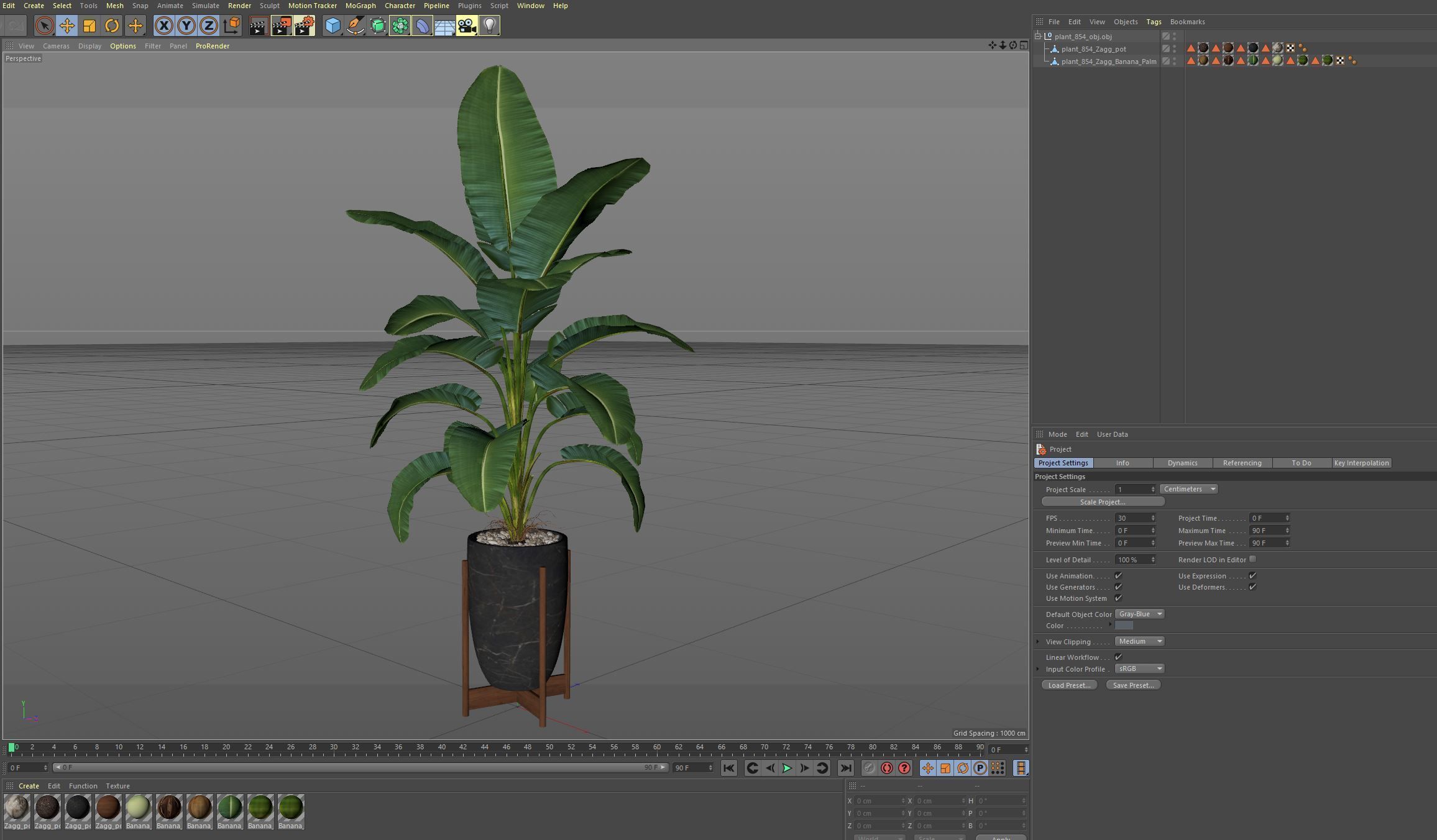 Plants collection 854 3D model_7