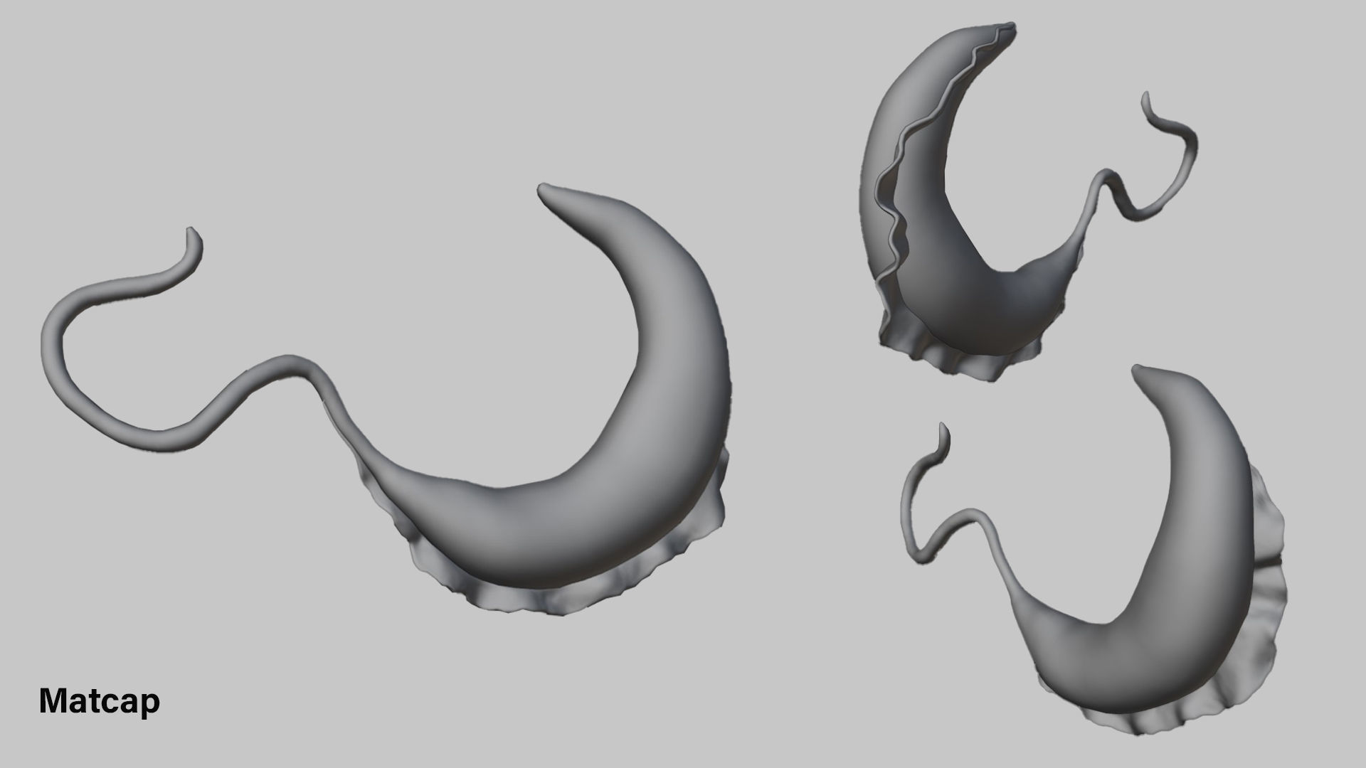 African Trypanosomiasis Sleeping Sickness Low-poly 3D model_2