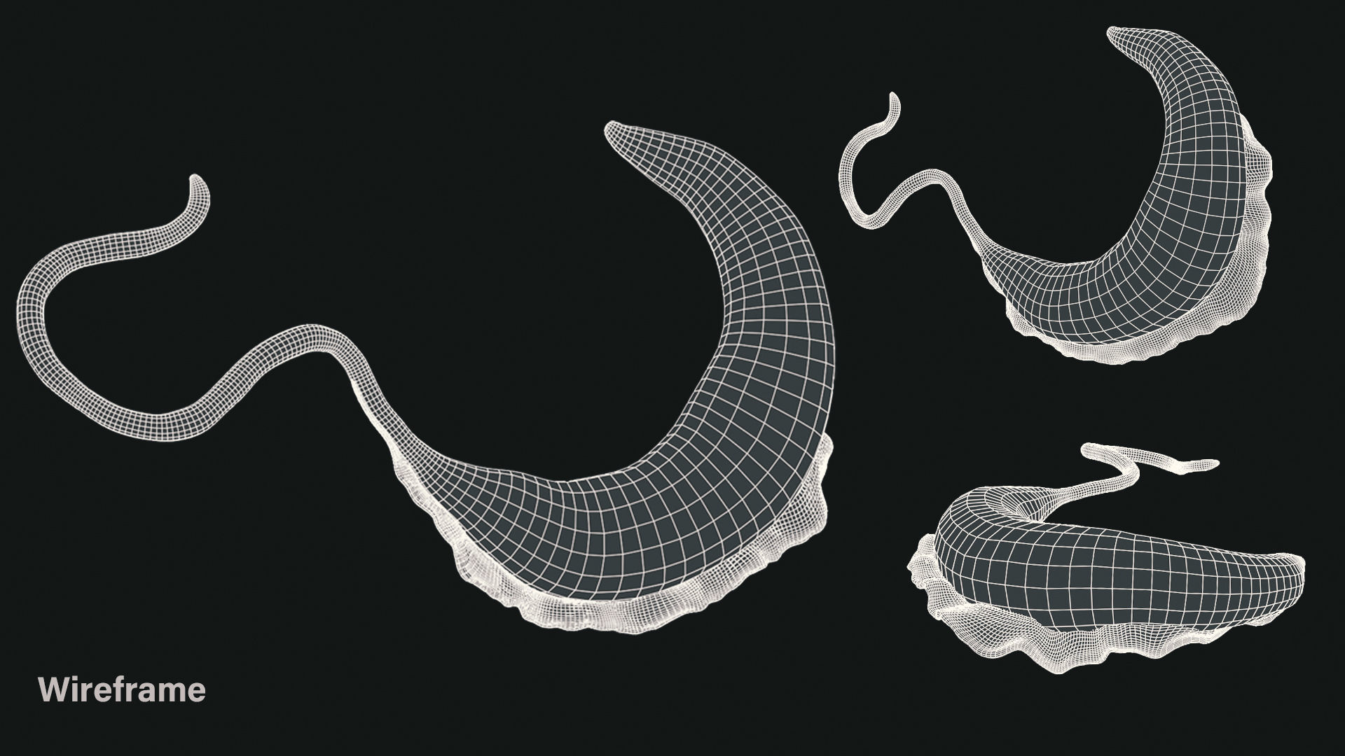 African Trypanosomiasis Sleeping Sickness Low-poly 3D model_5