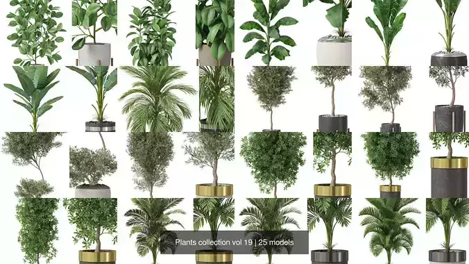 Plants collection vol 19