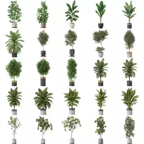 Plants collection vol 19 