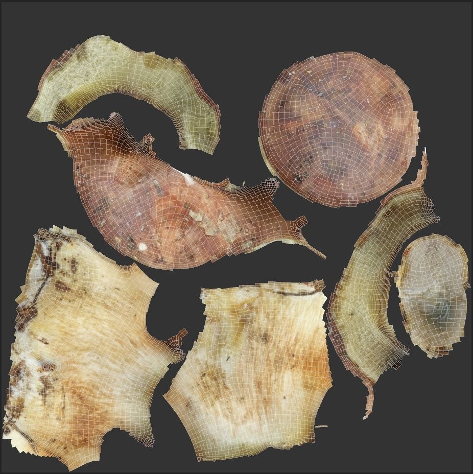 Imleria Badia or Polish mushroom  Low-poly 3D model_7