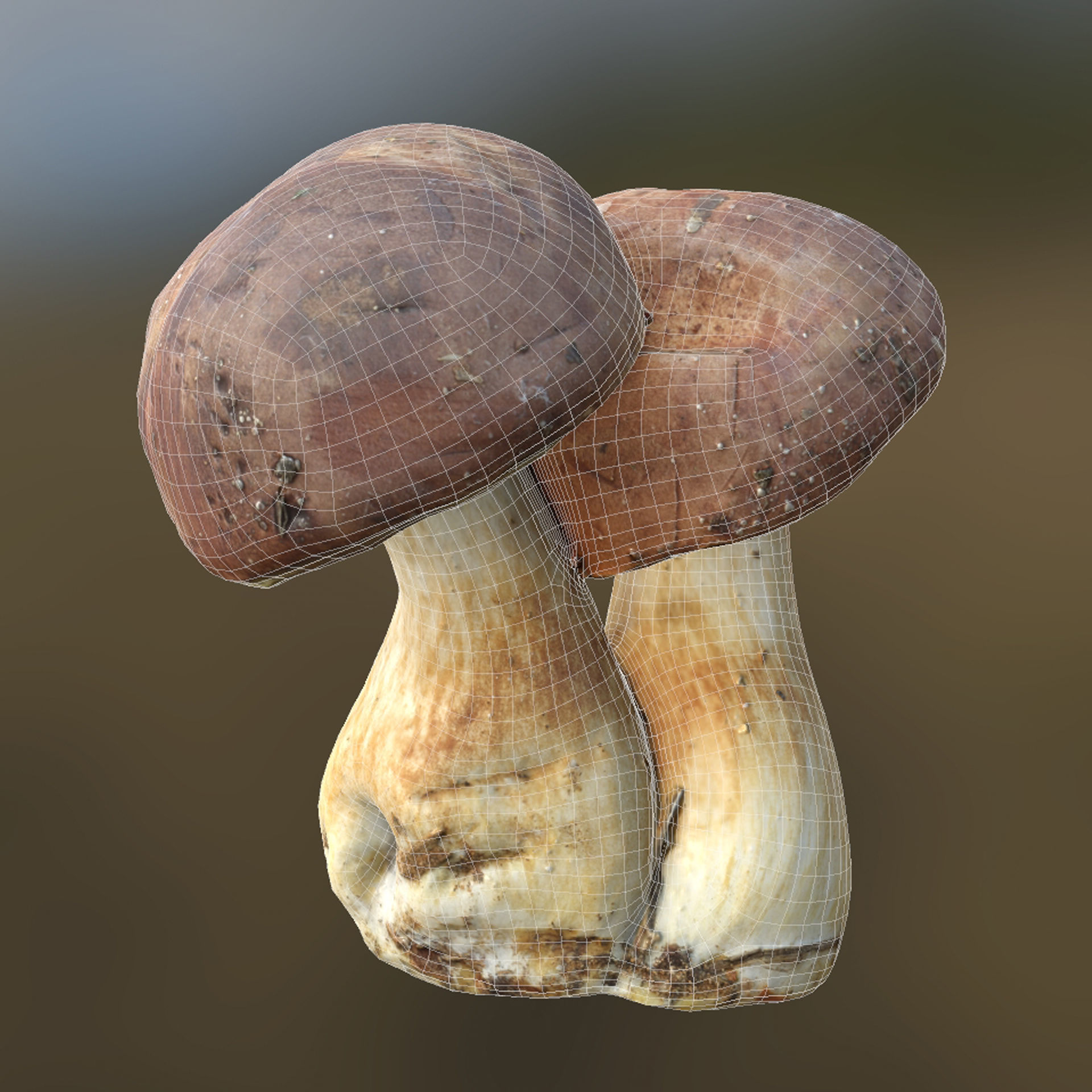 Imleria Badia or Polish mushroom  Low-poly 3D model_6