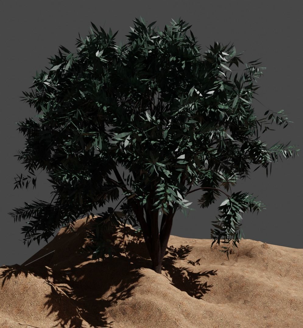Tree 4 types of Free low-poly 3D model_1