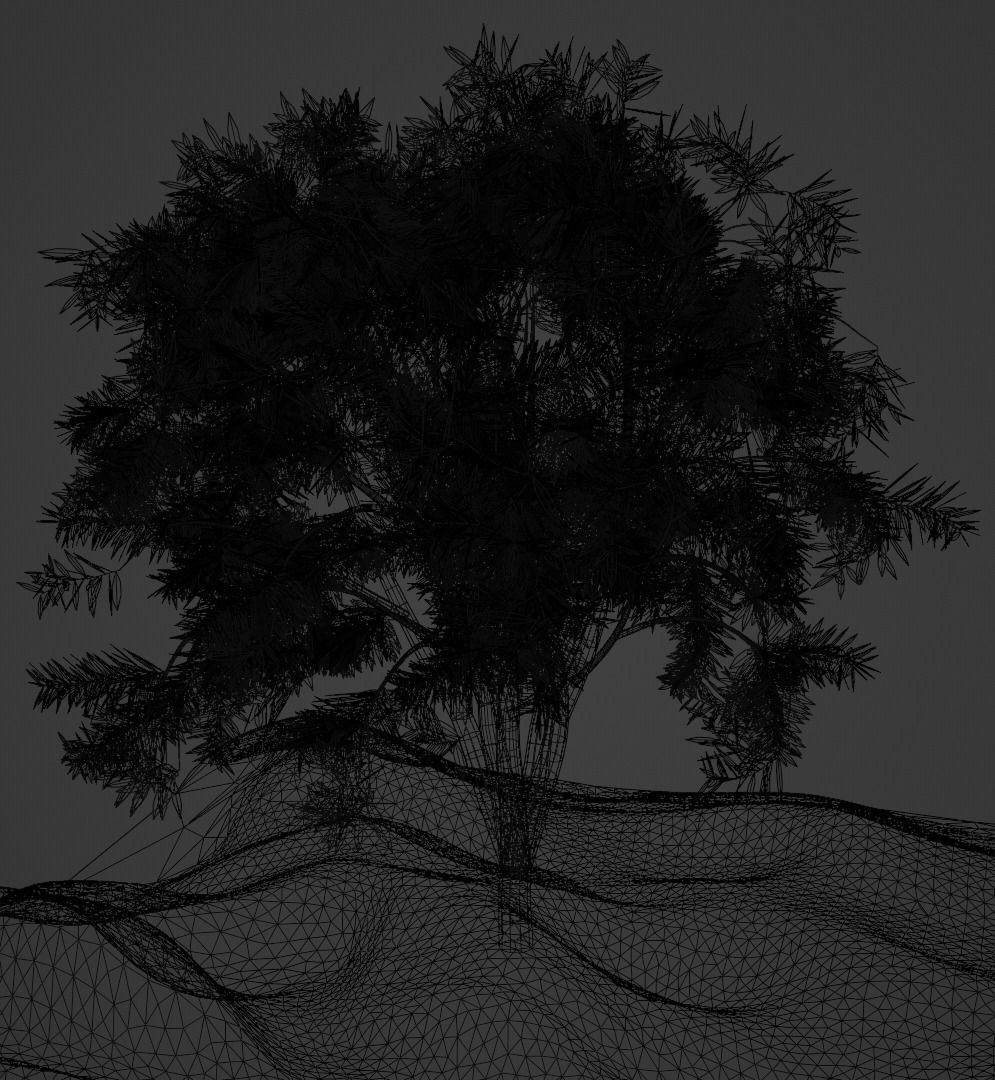 Tree 4 types of Free low-poly 3D model_2