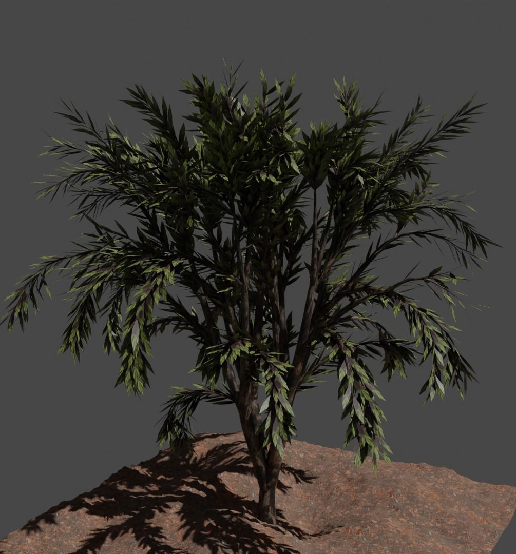 Tree 3 types of Free low-poly 3D model_1