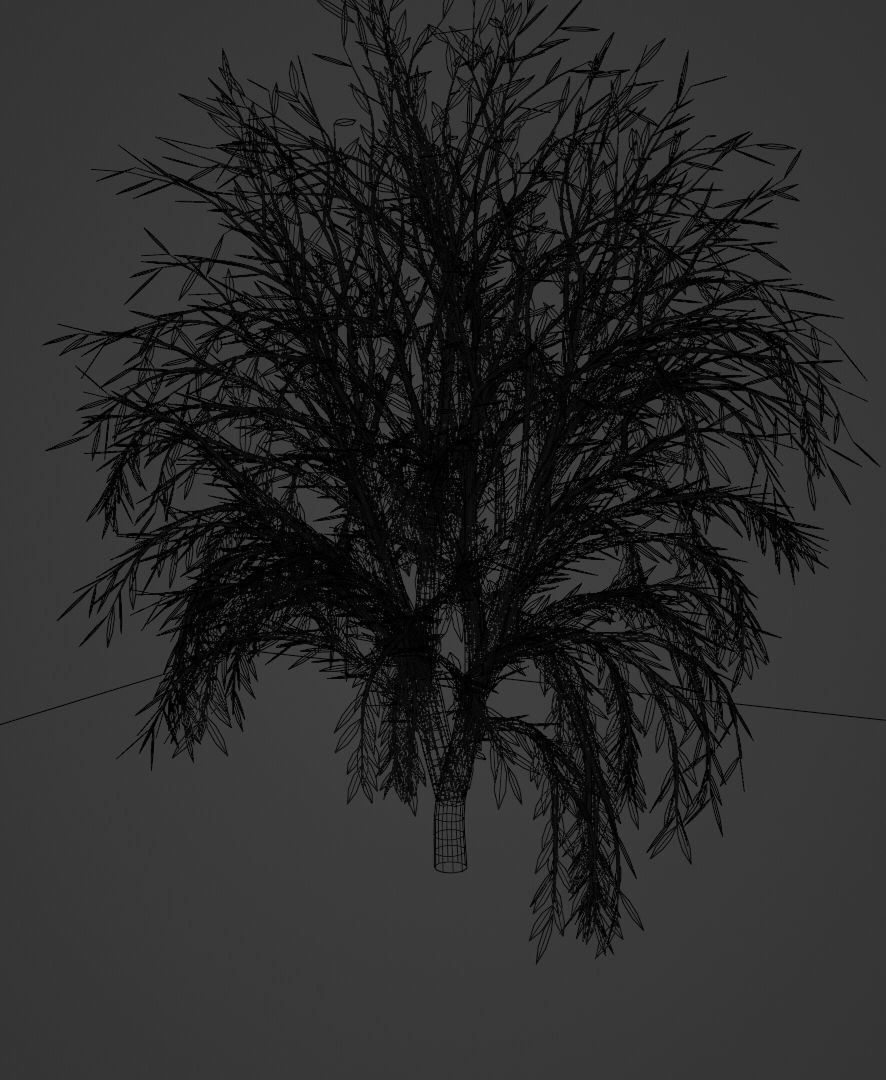 Tree 2 essential types of Free low-poly 3D model_2