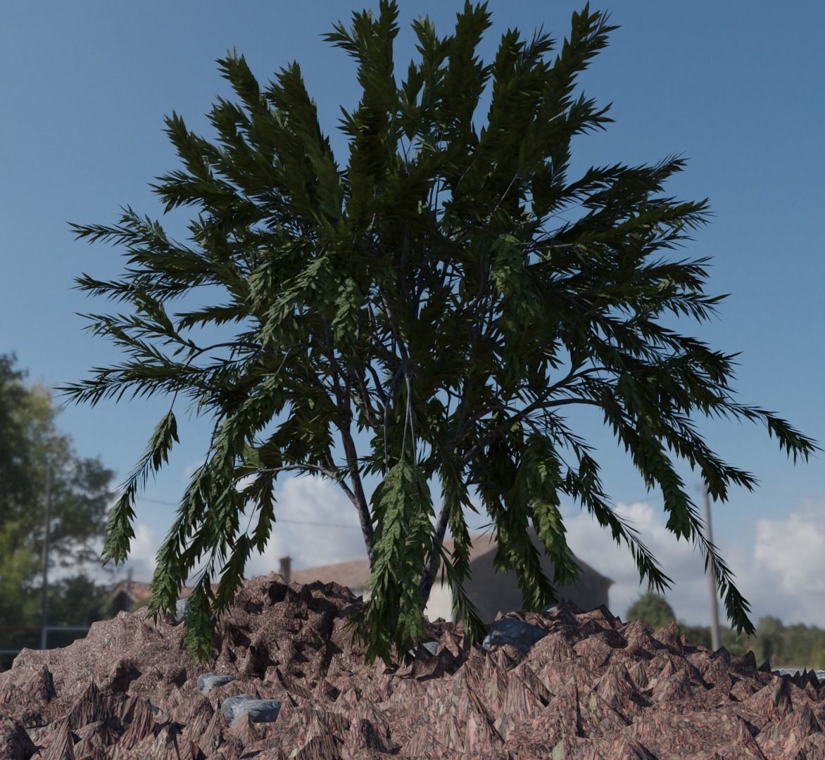 Tree 1 types of Free low-poly 3D model_2