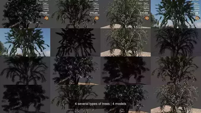 4 several types of trees