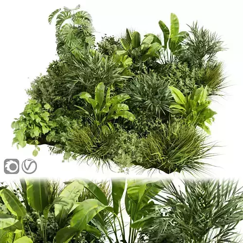 Collection plant vol 394 - outdoor - garden - leaf 3D model
