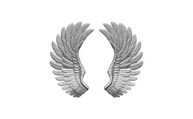 Wing pair left right