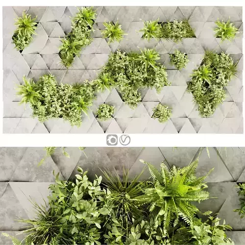 Collection plant vol 396 - fitowall - ertical- fern - bush 3D model