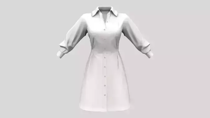 Long Sleeve Buttoned Up White Shirt Dress
