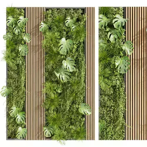 Collection plant vol 400 - fitowall - ertical - leaf - fern 3D model