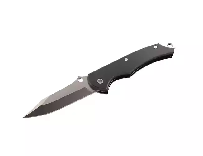 Folding knife with carbon handle 3D model