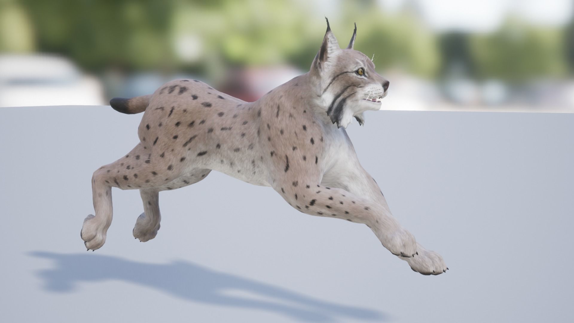 Pack of wild cats Low-poly 3D model_19