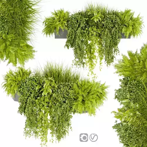 Collection plant vol 402 - Indoor - balcony - ampelous 3D model