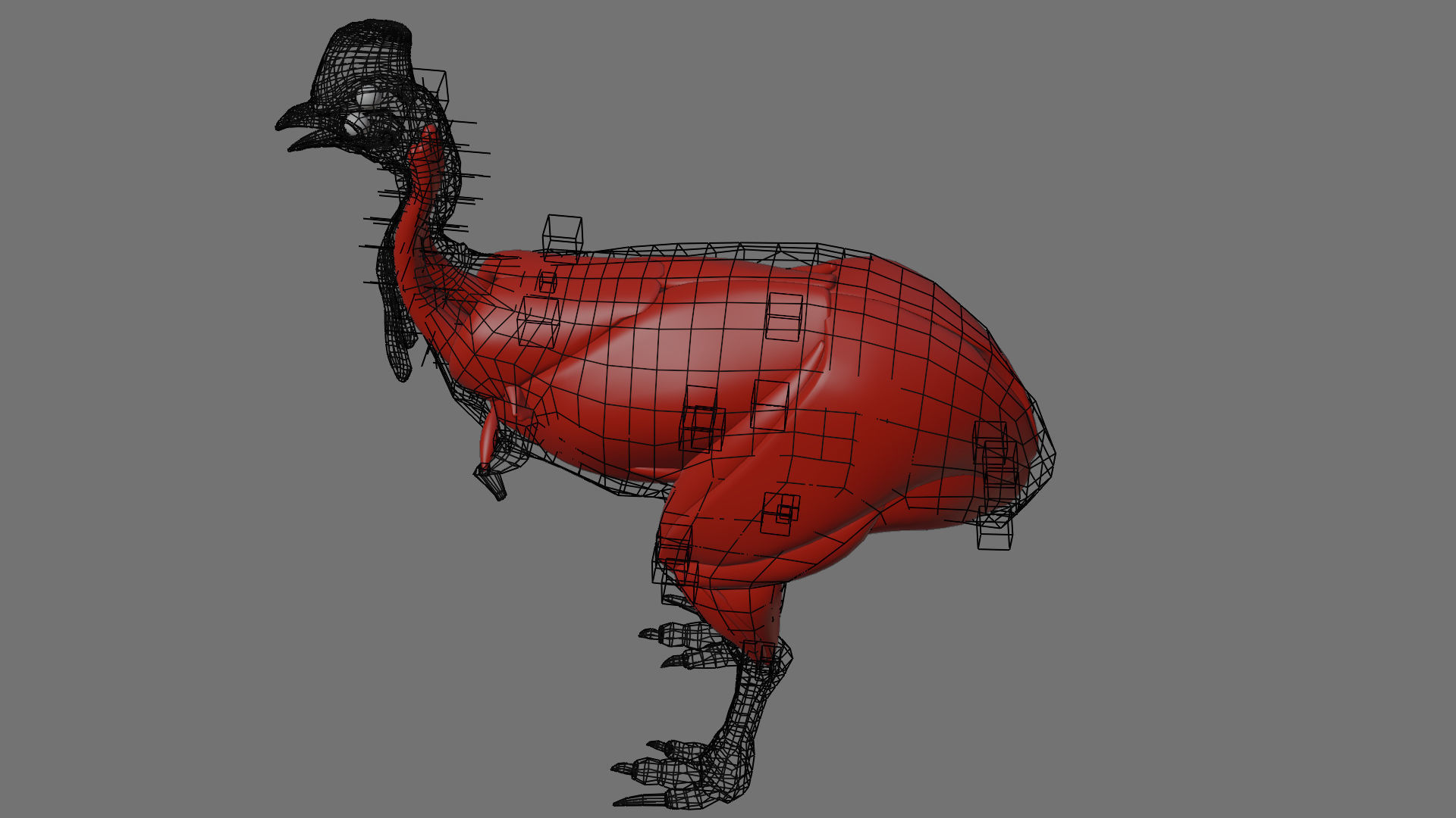 cassowary ostrich Low-poly 3D model_10