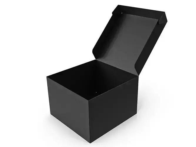 Cardboard box black 05
