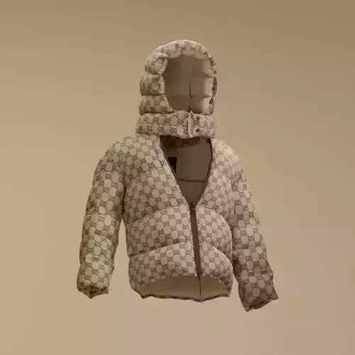 Gucci Puffer Hoodie 