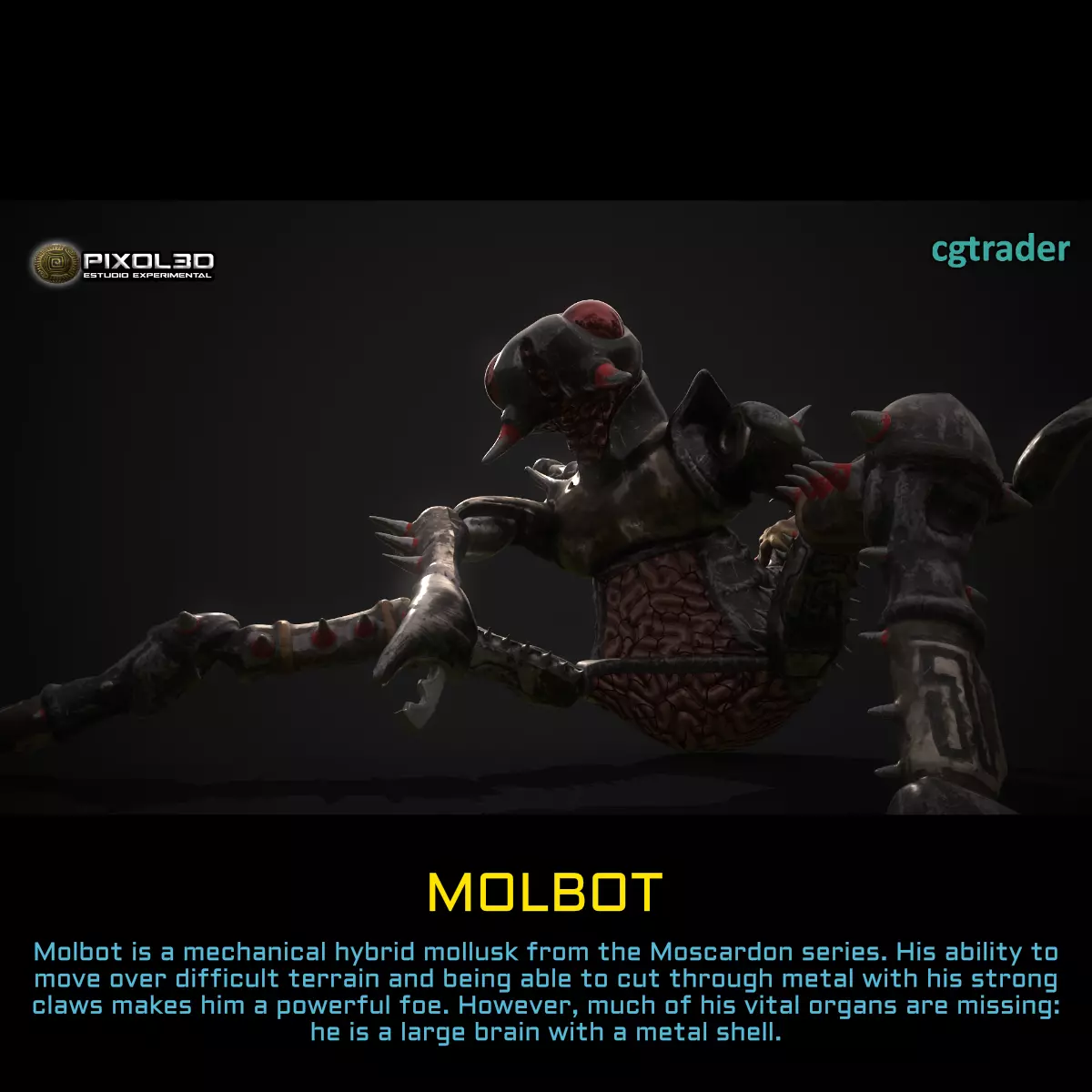 MOLBOT Hibryd Character 3D model
