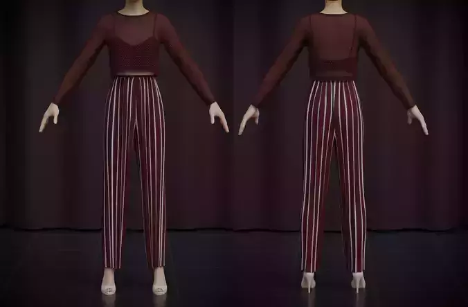 Sheer top and pleated palazzo trouser - Two piece outfit 3D model