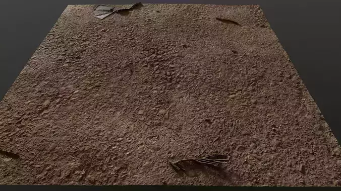 scanconcrete001 dirt floor