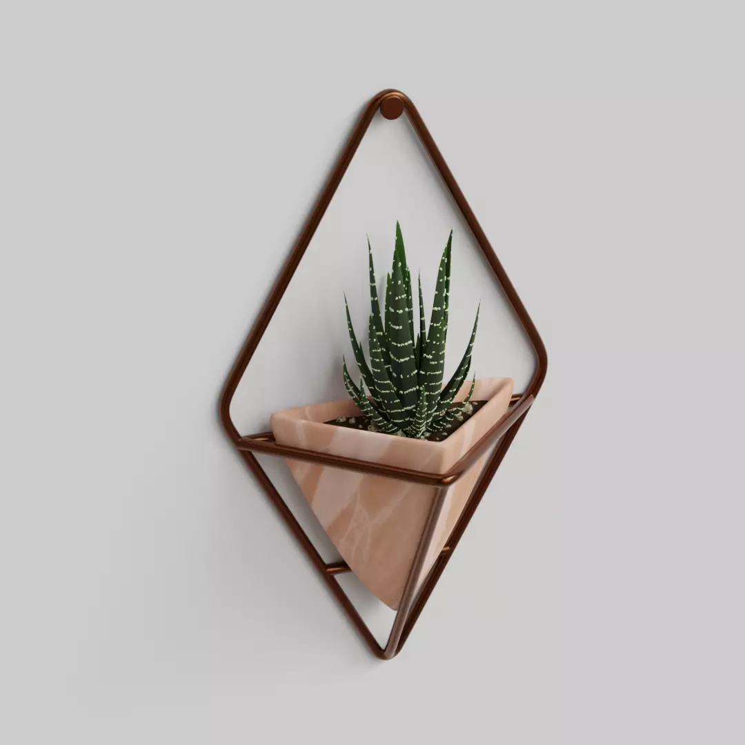 Haworthia in a wall pot Free 3D model