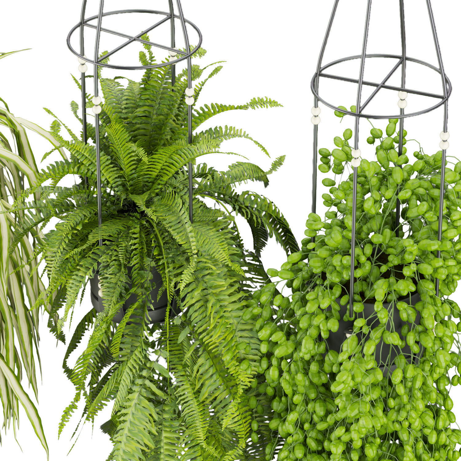Collection plant vol 404 - pothos - hanging - ampelous - ivy 3D model_2