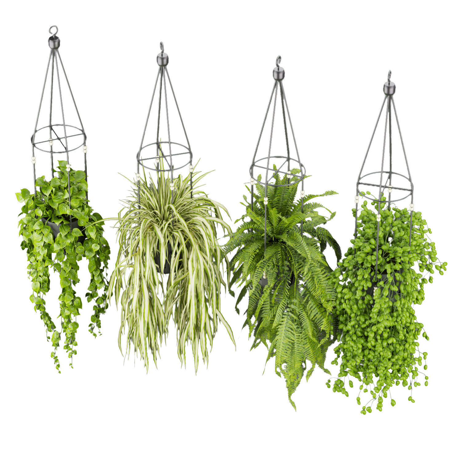 Collection plant vol 404 - pothos - hanging - ampelous - ivy 3D model_4
